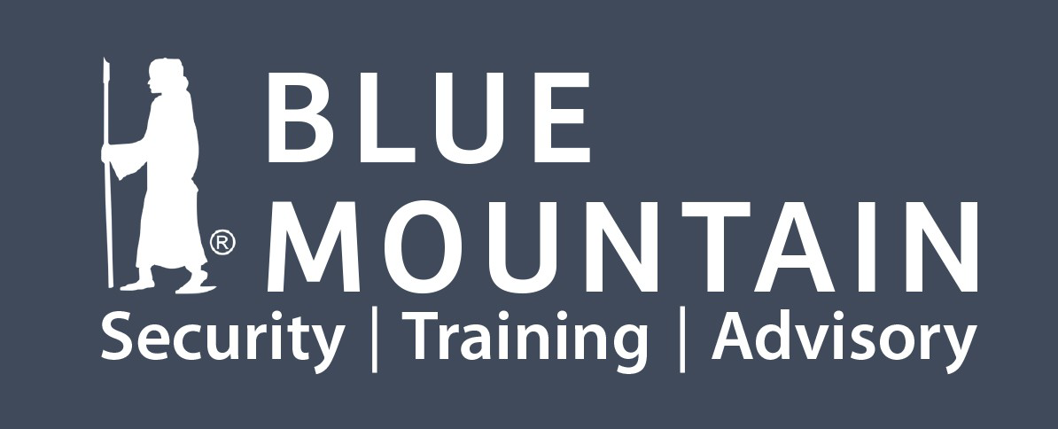 bluemountaingroup_logo
